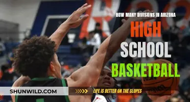 Arizona High School Basketball: Divisional Breakdown and Insights