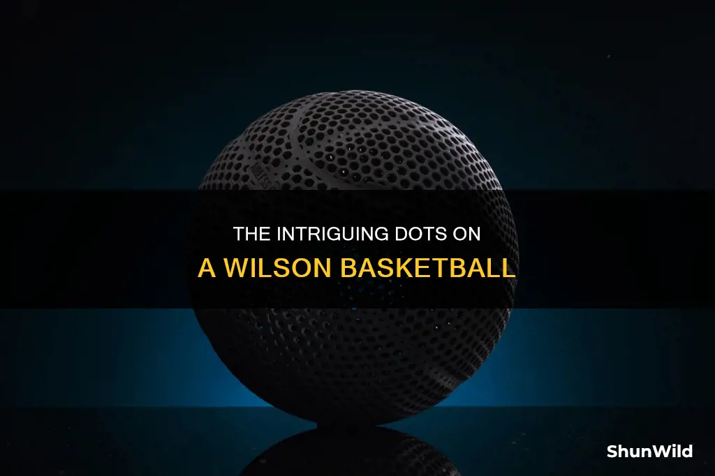 how many dots are on a wilson basketball