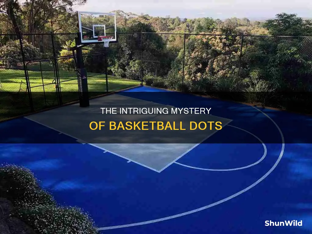 how many dots on a basketball