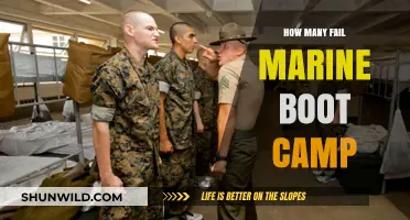 Marine Boot Camp Attrition: Understanding Why Recruits Fail the Challenge