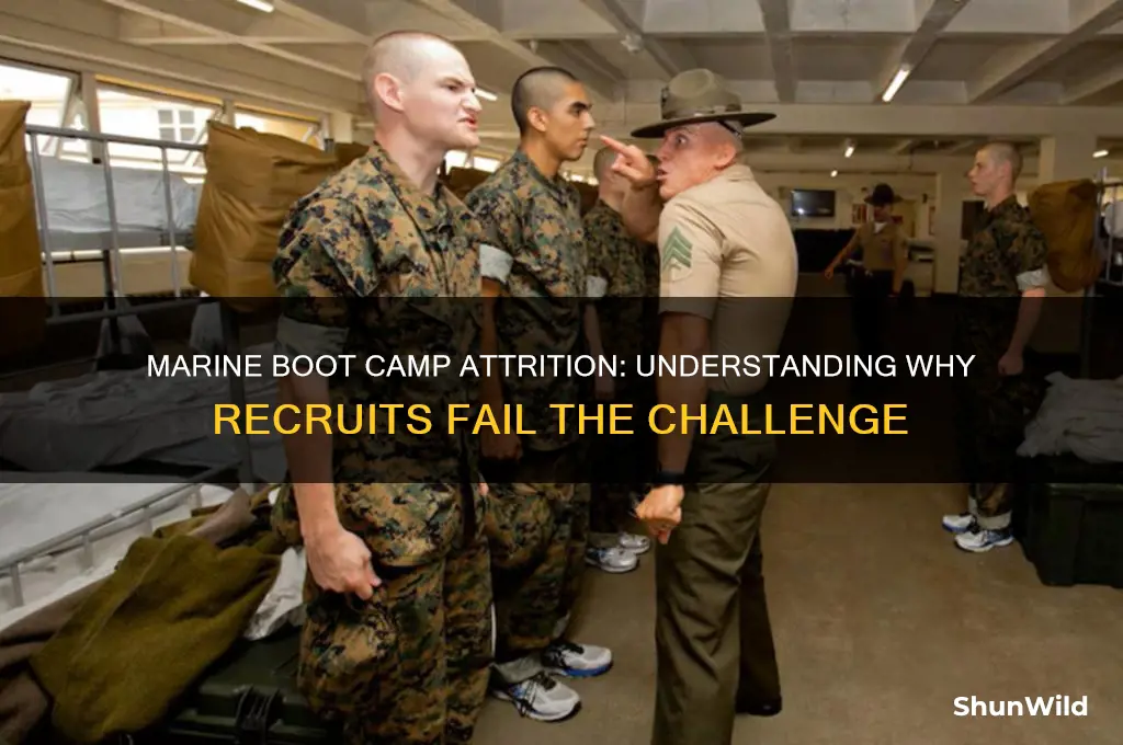 how many fail marine boot camp