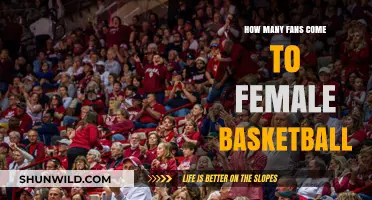 Female Basketball: Fan Attendance Explored