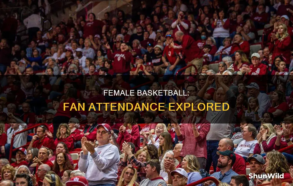 how many fans come to female basketball