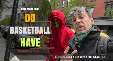 Basketball's Massive Fan Base: How Many Are There?