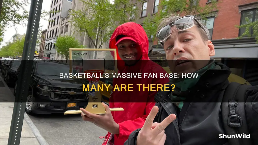 how many fans do basketball have