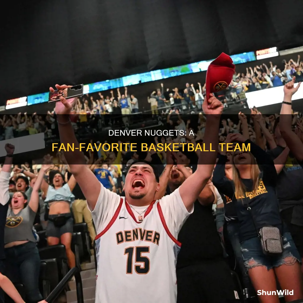 how many fans do the nuggets basketball