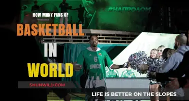 Basketball's Global Fanbase: How Many?
