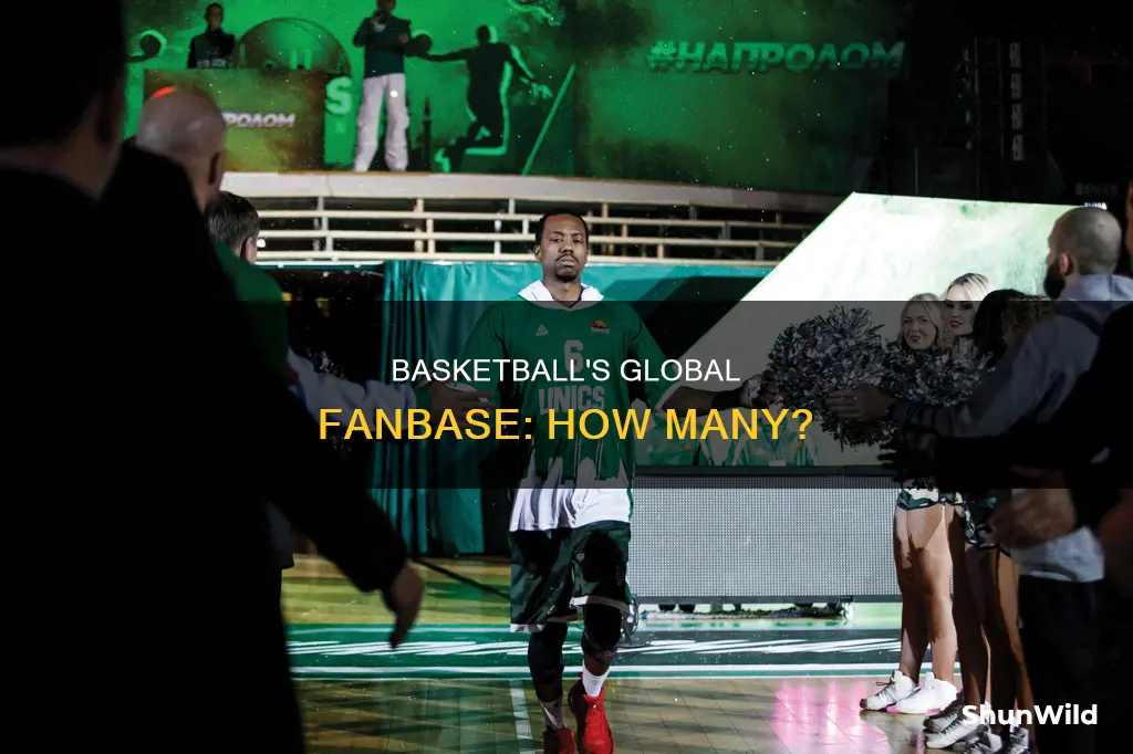 how many fans of basketball in world