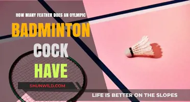 Badminton Cocks: Olympic Standard Feather Count