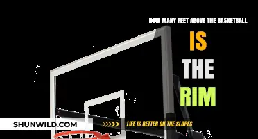 Rim Height: Feet Above the Basketball Court