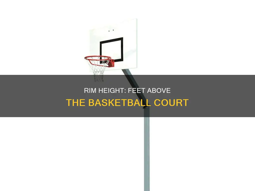 how many feet above the basketball is the rim