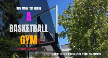 Basketball Gyms: How Tall Are They Really?