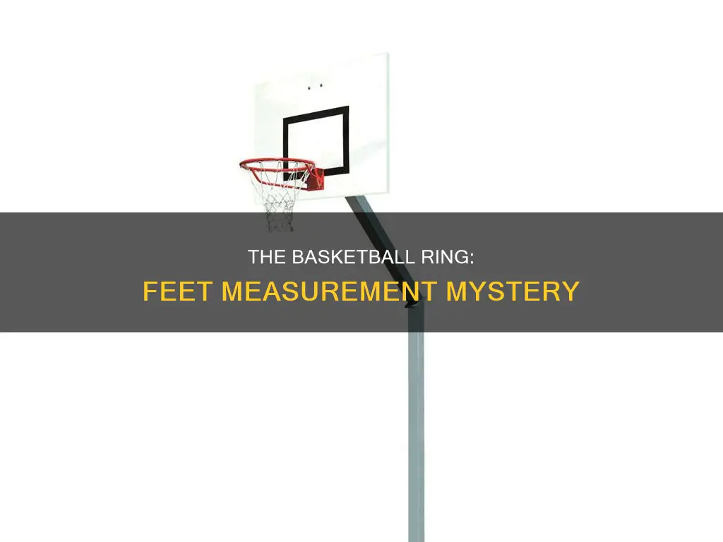 how many feet in basketball ring