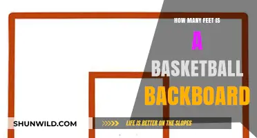 Backboard Heights: Feet and Inches to Success