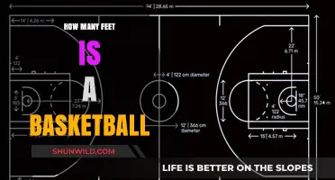Basketball Size: Feet and Inches Explained