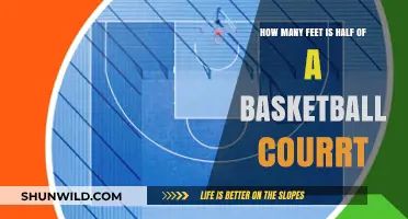 Half-Court Hustle: Feet Measurement Guide