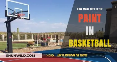 Basketball Paint Distance: Feet and Inches
