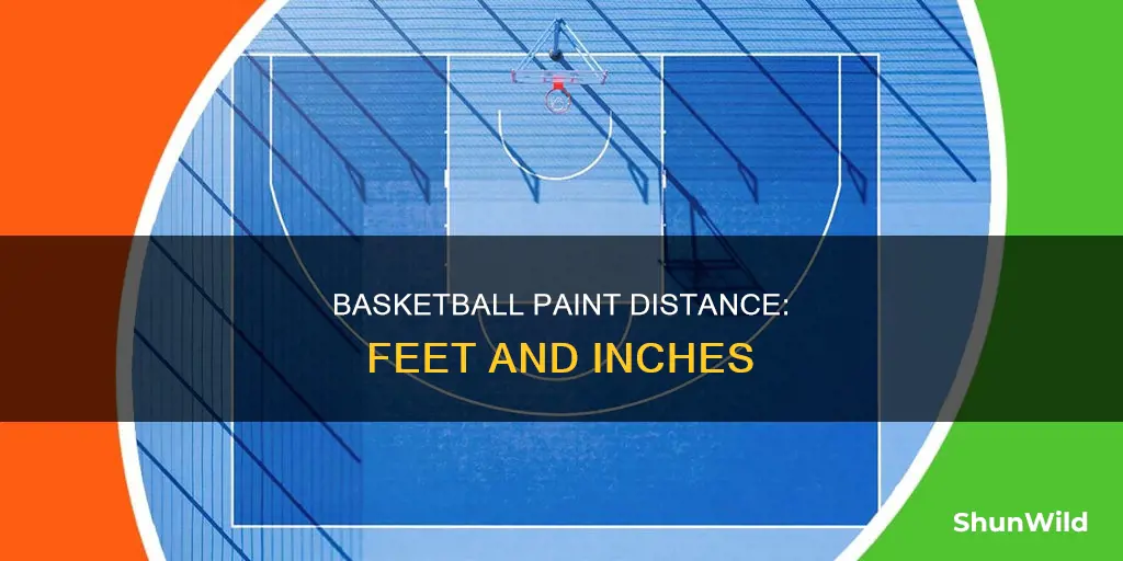 how many feet is the paint in basketball
