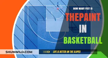 Basketball Paint Distance: Feet and Inches