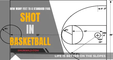 The Official NBA Distance: Unlocking the Mystery of the Foul Shot