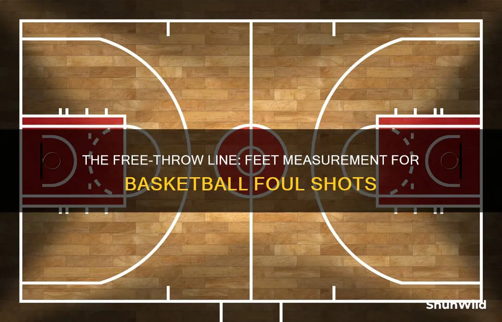 how many feet to a standard foul shot in basketball