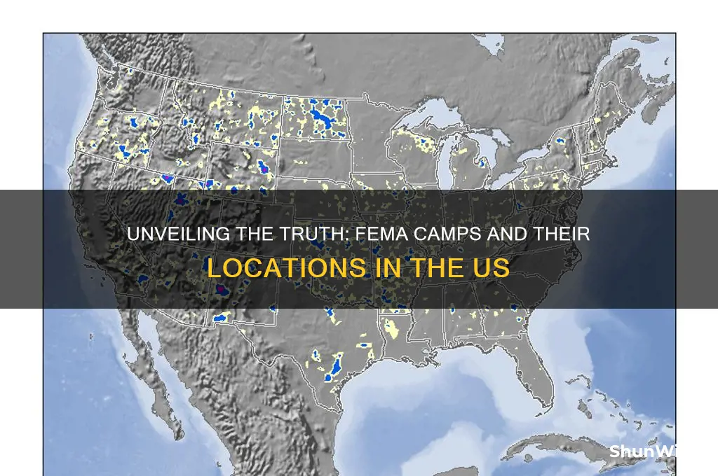 how many fema concentration camps are there