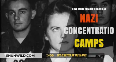 Female Guards in Nazi Camps: Numbers and Historical Context