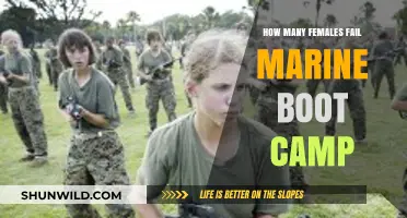 Female Recruits: Challenges and Failure Rates in Marine Boot Camp