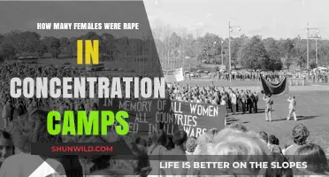 Sexual Violence in Concentration Camps: The Untold Stories of Female Survivors