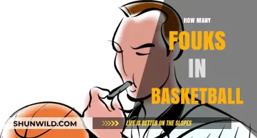 The Dynamic Nature of Basketball: 5-Player Teams