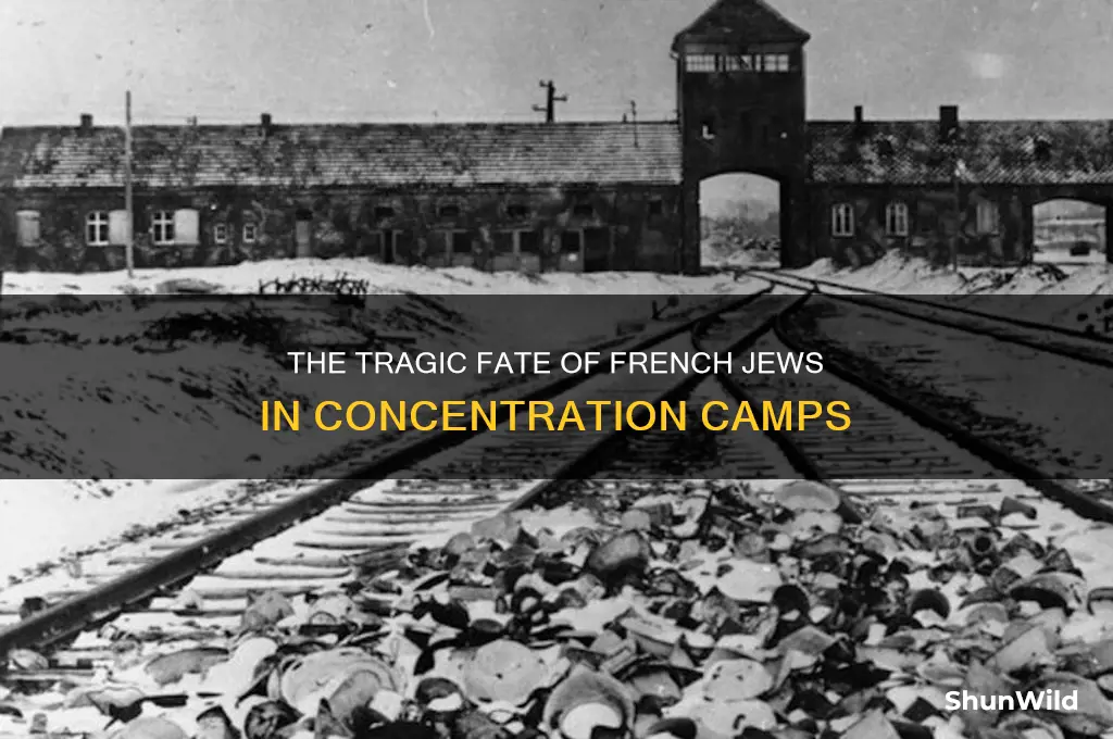 how many french jews were sent to concentration camps