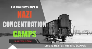Frozen in Horror: Nazi Camps' Deadly Winter Toll Revealed