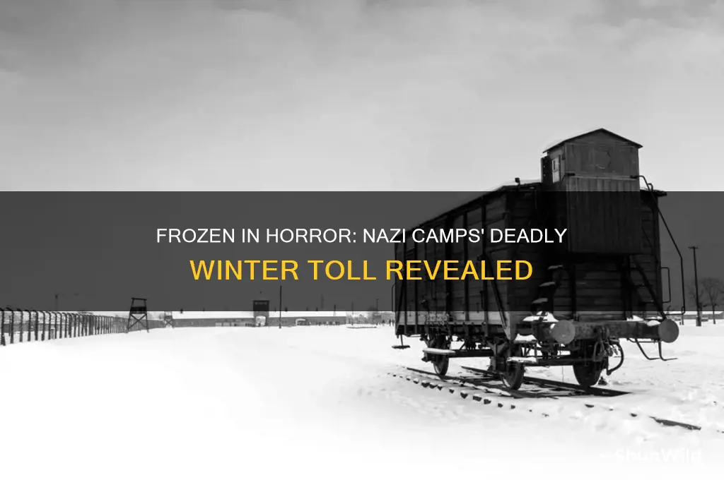 how many froze to death in nazi concentration camps
