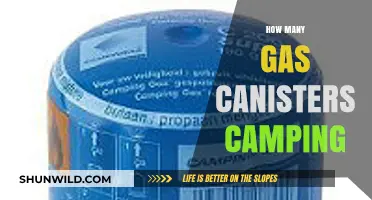 Essential Guide to Choosing the Right Gas Canisters for Camping Trips
