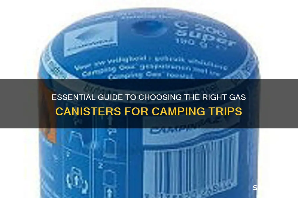 how many gas canisters camping