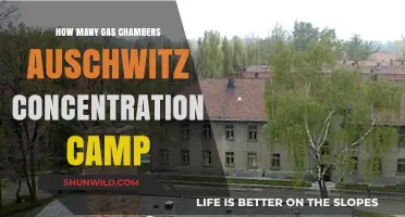 Auschwitz Gas Chambers: Unveiling the Dark History and Numbers