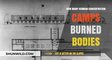 German Concentration Camps: The Horrific Practice of Burning Bodies