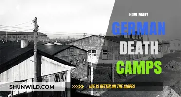 Uncovering the Dark History: German Death Camps and Their Numbers