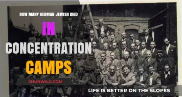 The Devastating Toll: German Jewish Lives Lost in Concentration Camps