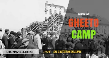Exploring the Number of Ghettos and Camps in History