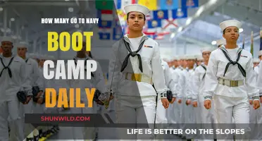 Daily Navy Boot Camp Attendance: How Many Recruits Join?