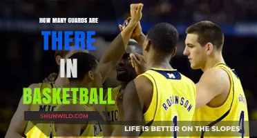 The Dynamic Roles of Basketball Guards