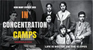 The Forgotten Tragedy: Romani Genocide in Concentration Camps