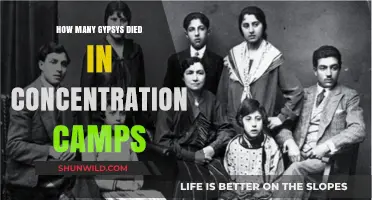 The Forgotten Tragedy: Romani Genocide in Concentration Camps