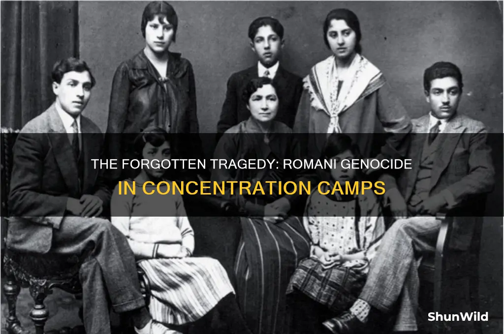 how many gypsys died in concentration camps