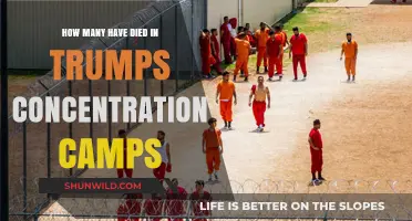 Trump's Detention Centers: Uncovering the Human Cost of Immigration Policies