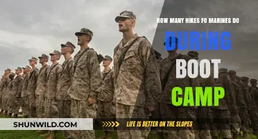 Marines' Boot Camp Hike Frequency: Unveiling the Rigorous Training Schedule