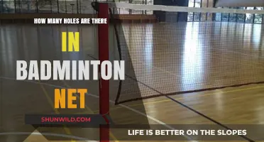 Badminton Net Holes: What's the Standard Count?