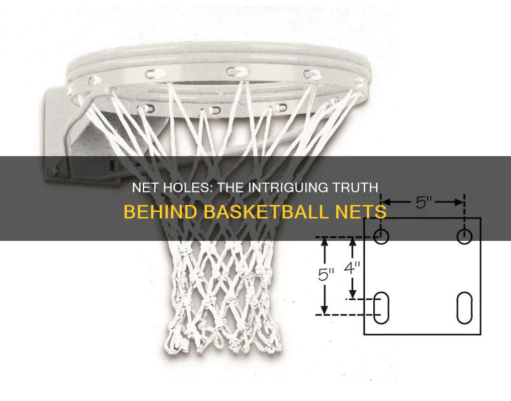 how many holes in a basketball net