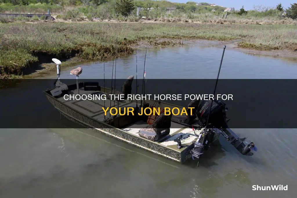 how many horse to put on jon boat